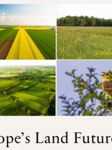 four agricultural landscape images