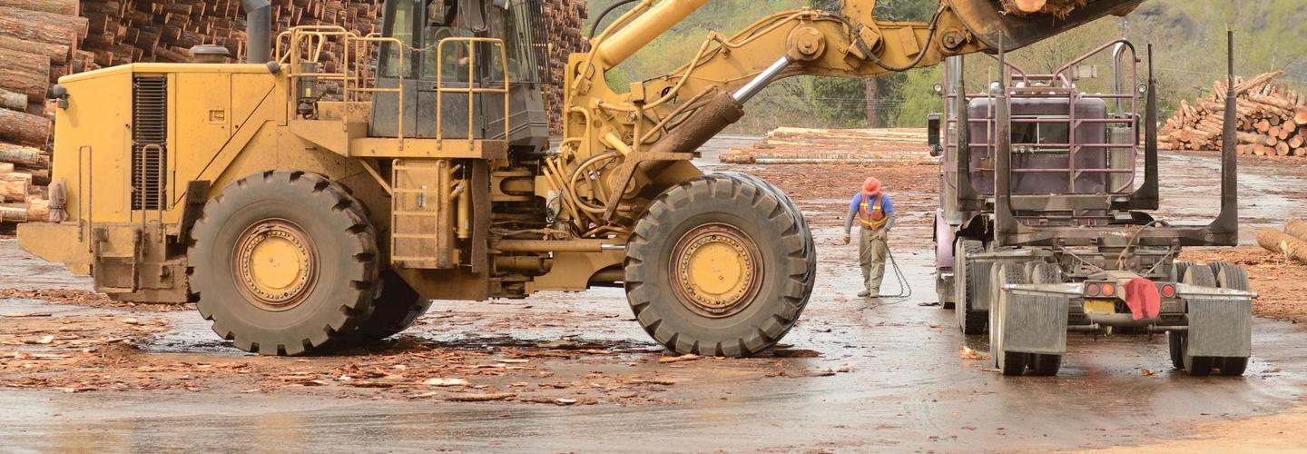 Carbon Costs of Wood Harvests